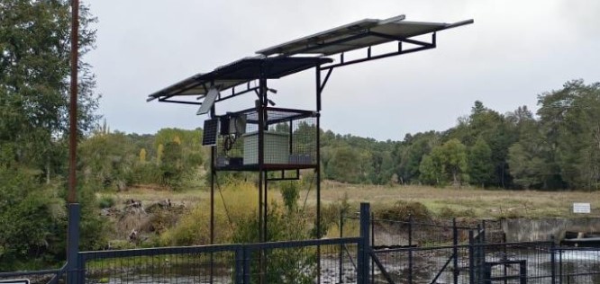 Paneles Solares