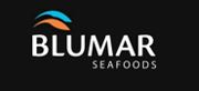 Logo Blumar